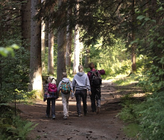 Familie im Wald, © eifel-tourismus-gmbh_tobias-vollmer