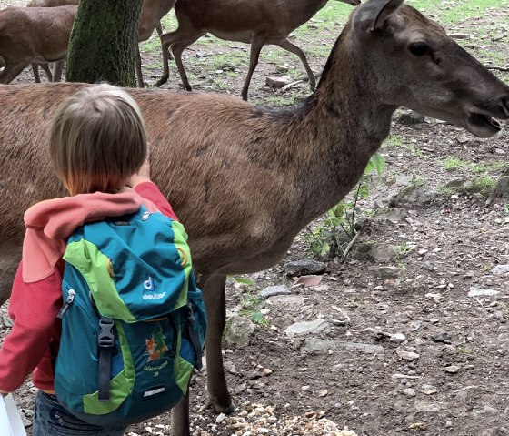 Tiere streicheln, © Wildpark Schmidt