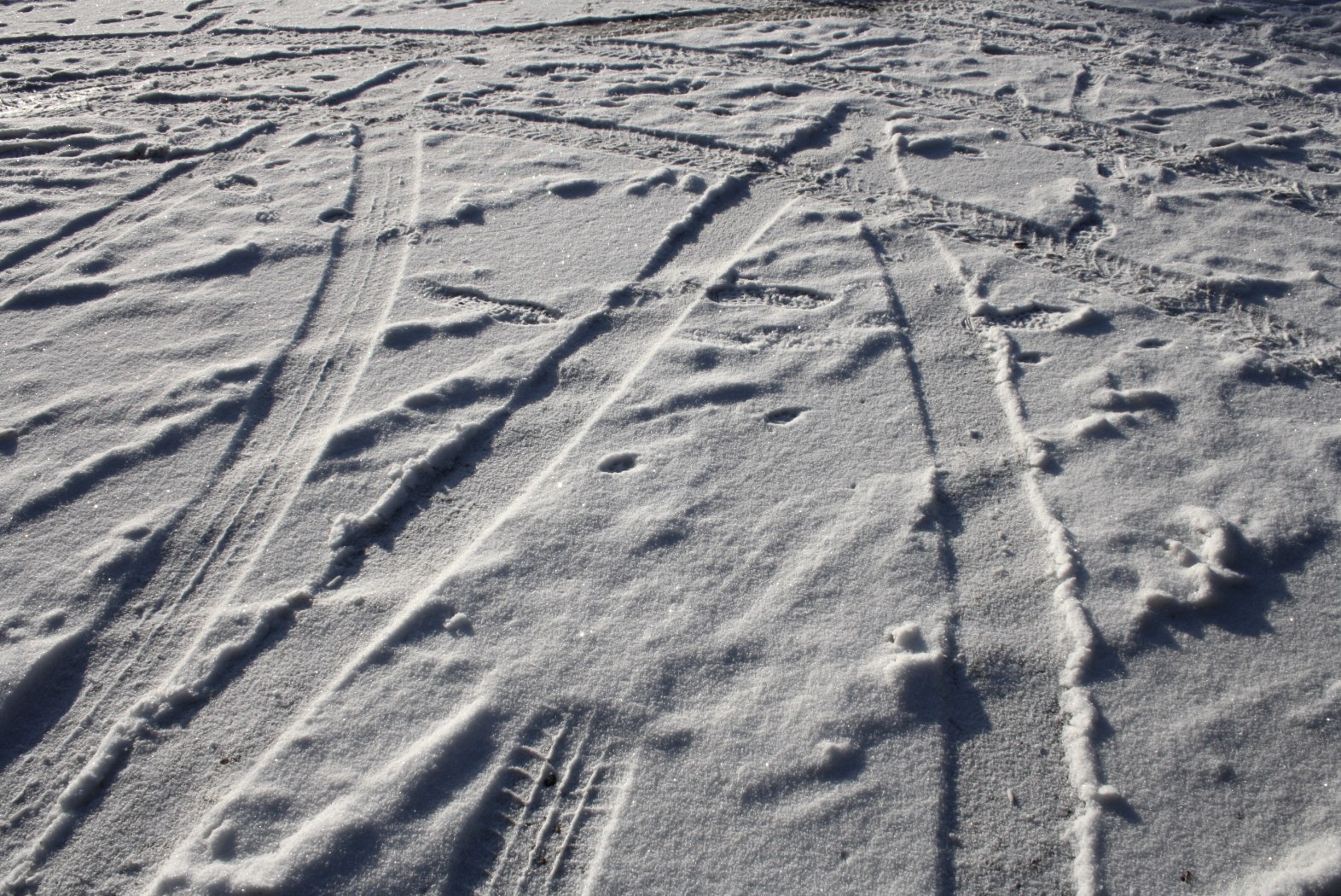 Schneespuren - Winter am Rursee, © Rursee-Touristik / C. Freuen