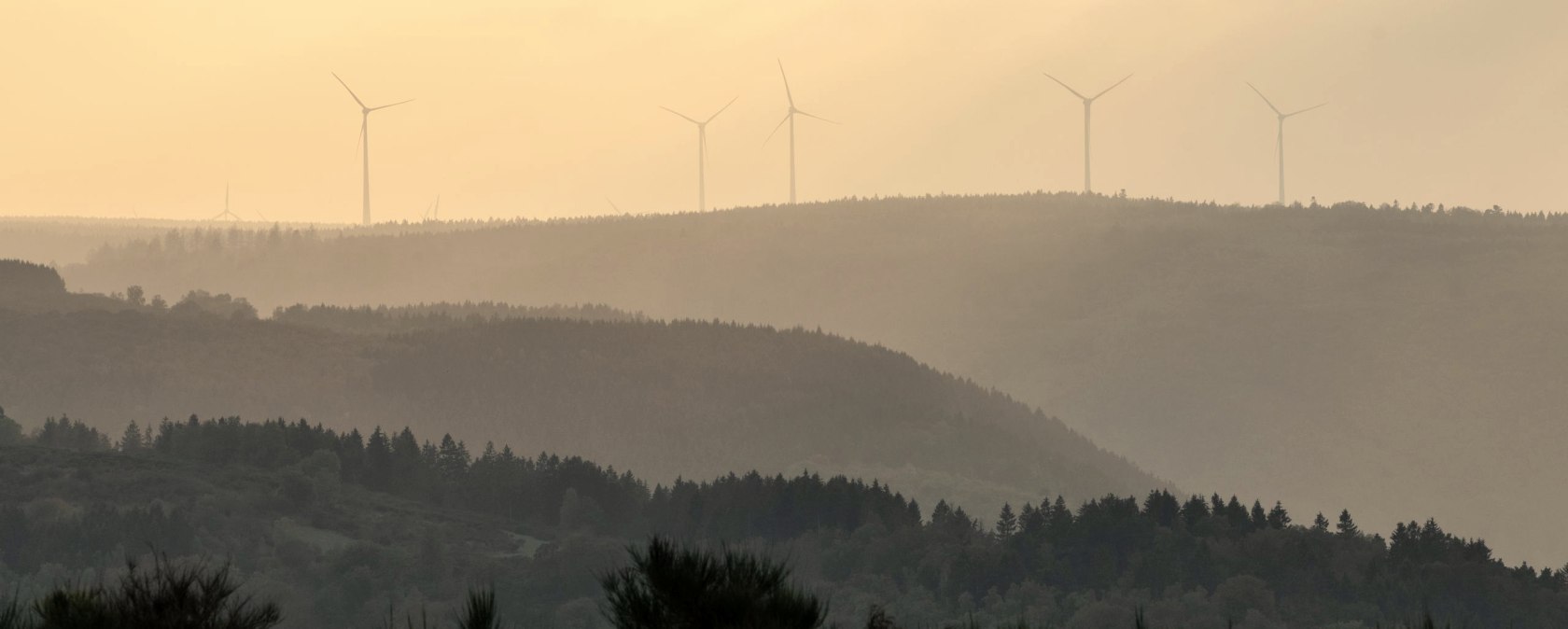 Nationalpark Eifel, © Nationalpark Eifel_Dominik Ketz