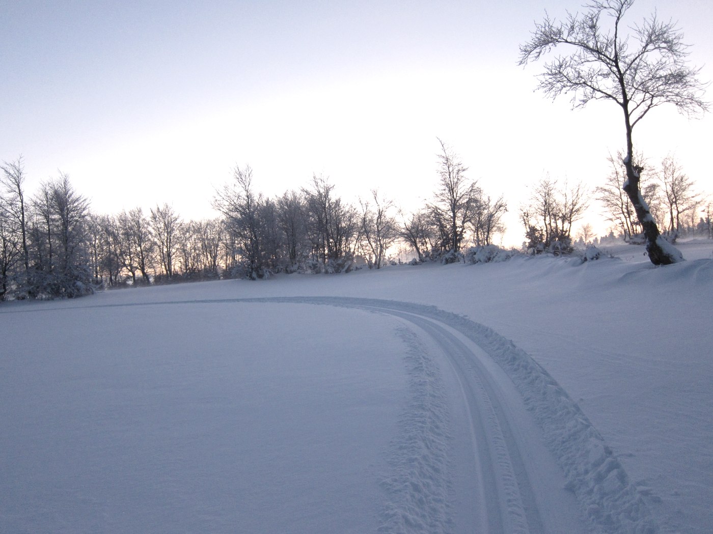 Auszeit auf zwei Brettern - Langlauf in Eicherscheid, © Günter Scheidt