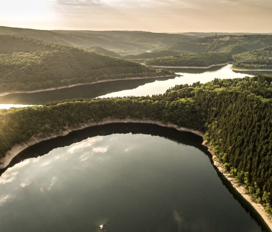 Sonnenaufgang über dem Nationalpark Eifel, Urfttalsperre, © Eifel Tourismus GmbH, D. Ketz