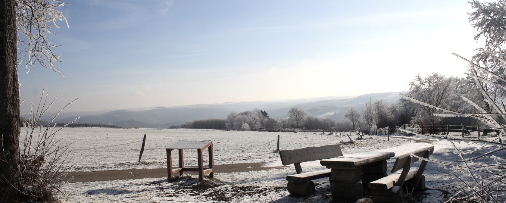 Eifel-Blick Worbelescheed, © Rursee-Touristik / C. Freuen