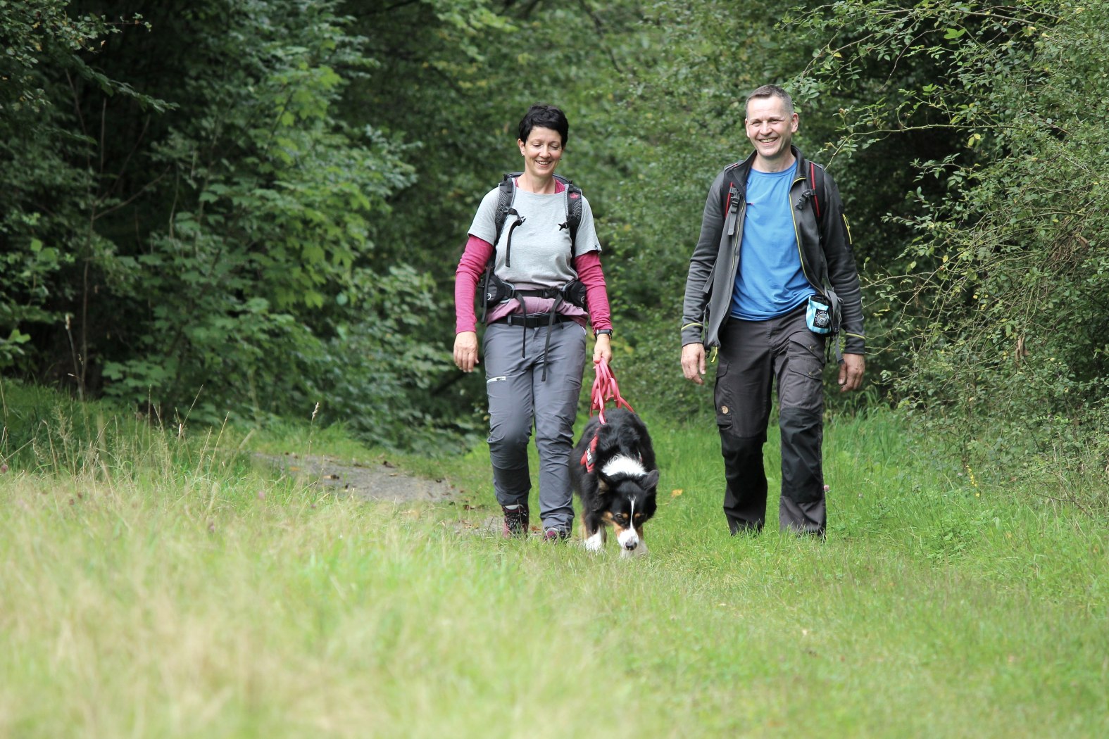 Wildnis-Trail, © Nationalpark Eifel M. Weisgerber