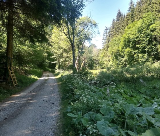 Tiefenbachtal, © Gemeinde Simmerath