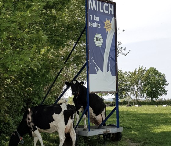 Frische Milch aus dem Milchautomat, © Biohof Beuel