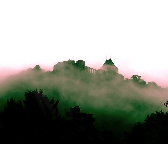 Blick auf die Burg Nideggen