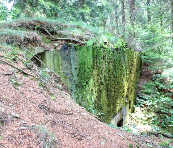 Bunker Westwall Weg, © Rureifel Tourismus e.V.