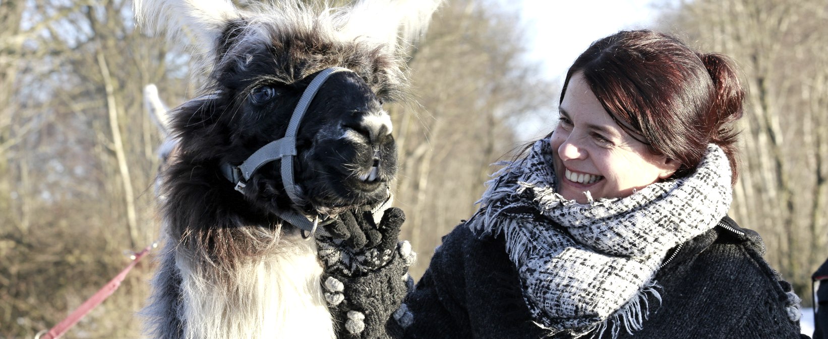 Wanderungen mit Lamas und Alpakas, © Loni Liebermann