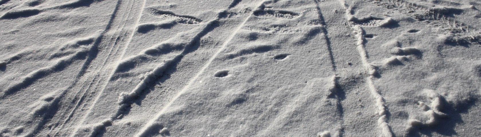 Schneespuren - Winter am Rursee, © Rursee-Touristik / C. Freuen