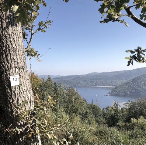 Aussicht auf den Rursee, © Rursee-Touristik GmbH, Conni Schink