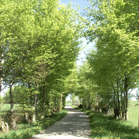 Heckenlandroute, © co. Günter Scheidt