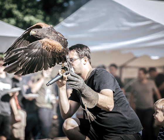 Flugshow im Wildpark Schmidt, © Wildpark Schmidt