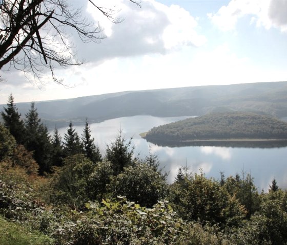 Blick auf den Rursee