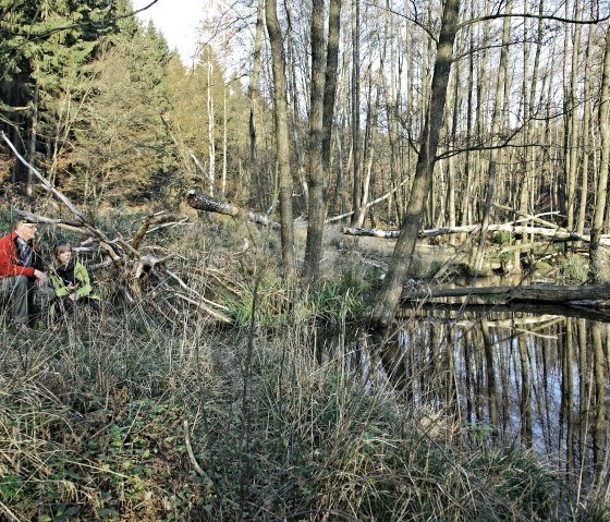 Auf der Suche nach Bibern im Wasser, © Giesen