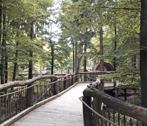 Wilder Weg im Nationalpark Eifel, © Eifel Tourismus GmbH