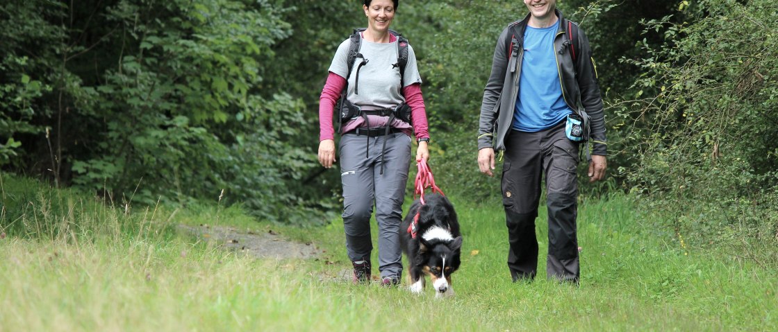 Wildnis-Trail, © Nationalpark Eifel M. Weisgerber