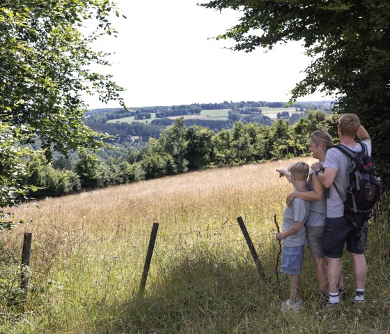 Flurheckenweg Eicherscheid, © Eifel Tourismus GmbH, Tobias Vollmer