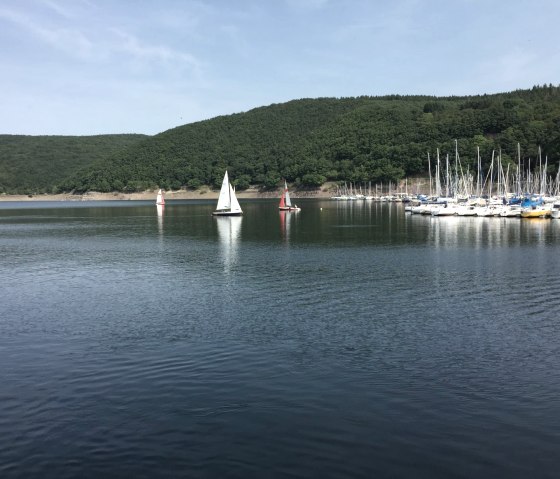 Blick auf den Rursee mit Segelbooten, © Eifel Tourismus GmbH