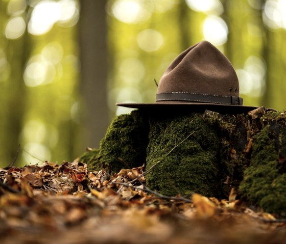 Ranger hat, typical for Eifel National Park rangers, © Tourismus NRW e.V.