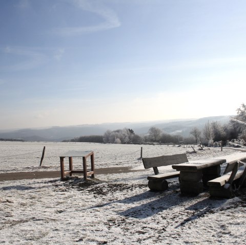 Eifel-Blick Worbelescheed, © Rursee-Touristik / C. Freuen