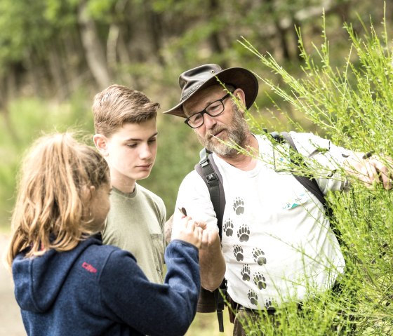 Family tour with forest guide