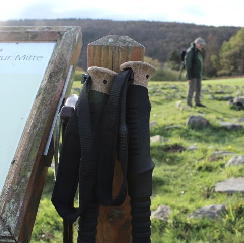 Schöpfungspfad I, © Nationalpark Eifel M. Weisgerber