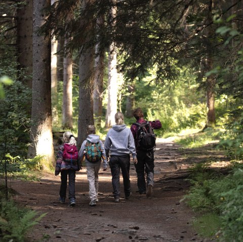 Family in the forest, © eifel-tourismus-gmbh_tobias-vollmer