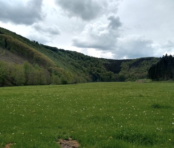 Rurtal Dedenborn-Einruhr, © Gemeinde Simmerath