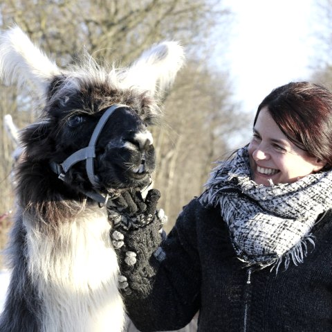 Lama-Wanderung, © Loni Liebermann