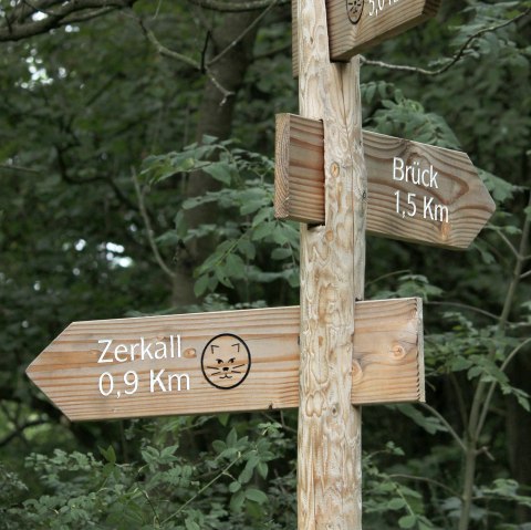 Wildnis-Trail II, © Nationalpark Eifel M. Weisgerber