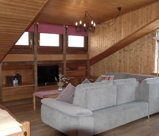 Log cabin interior view "The Birch"