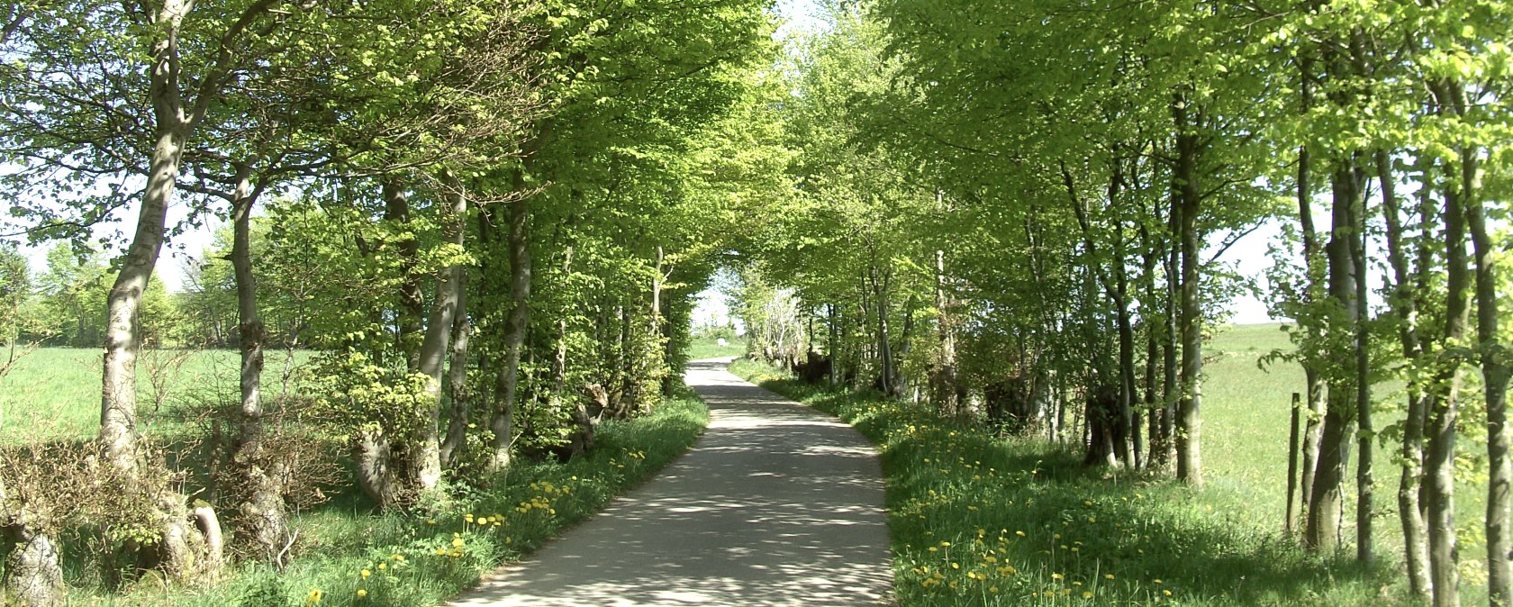 Heckenlandroute, © co. Günter Scheidt