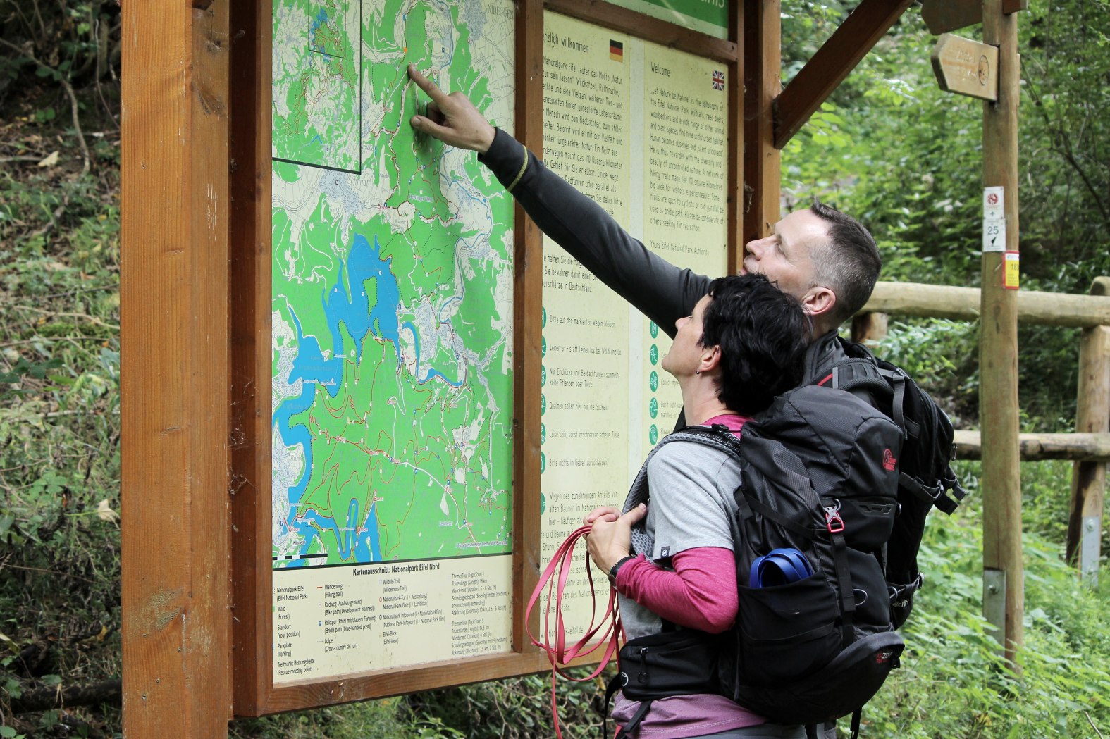 Wildnis-Trail, © Nationalpark Eifel M. Weisgerber