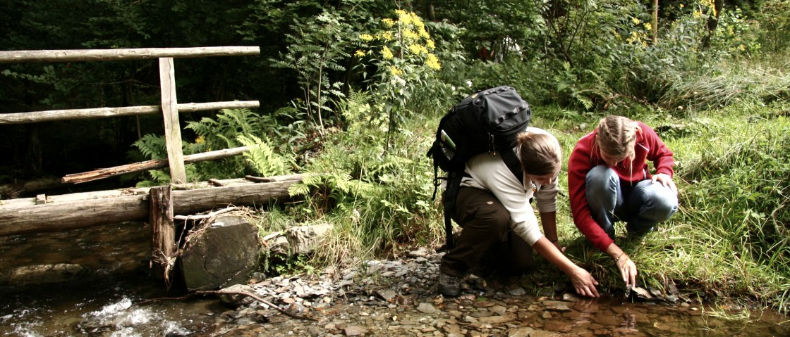 Wildnis-Trail, © Guido Priske