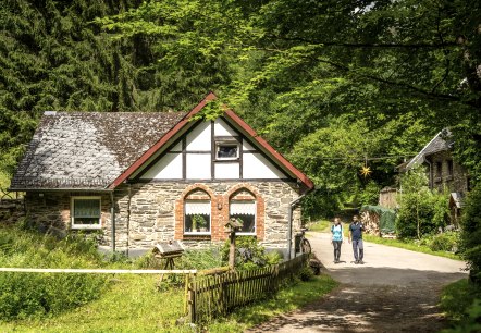 Ölmühle im Tiefenbachtal, © Eifel Tourismus GmbH, Dominik Ketz