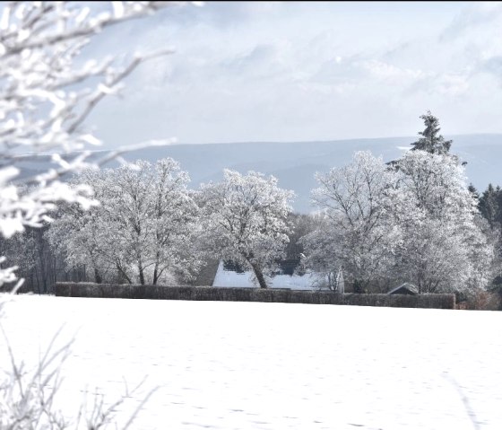 Wunderschöne Aussichten in die Schneelandschaft