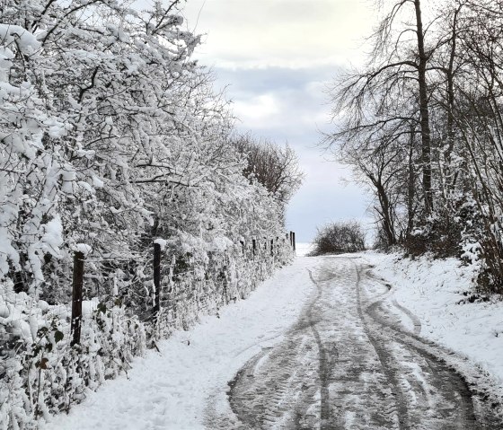 Wandern durch den Schnee