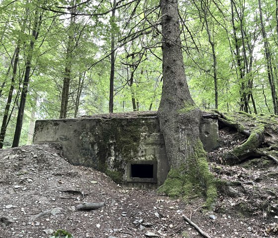 Bunker entlang der Wanderroute, © Monschauer Land Touristik e.V.