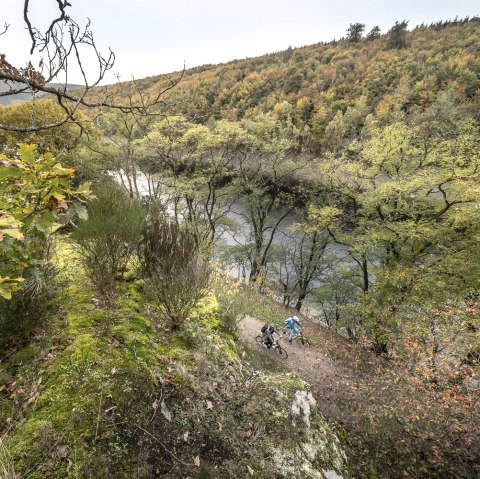 Blick auf die Taucherbucht, © Grünmetropole e.V./Stratmann