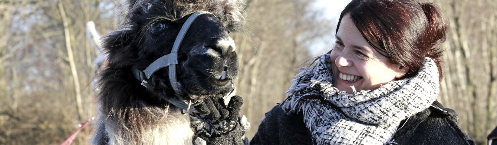 Wanderungen mit Lamas und Alpakas, © Loni Liebermann