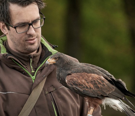 im Wildpark Schmidt, © A. Baumbach