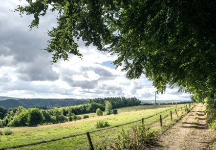 Wandern Rursee-Höhenweg, © Eifel Tourismus GmbH, Dominik Ketz