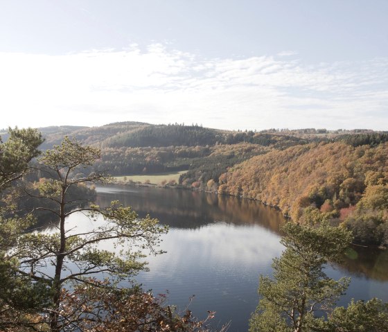 Jägersweiler im Nationalpark Eifel, © Nationalpark Eifel - Dr. A. Pardey