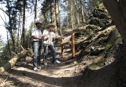 Schöpfungspfad im Nationalpark Eifel, © Nationalpark Eifel S. Wilden