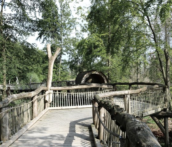 Wilder Weg, © J. Dörstel / Nationalpark Eifel