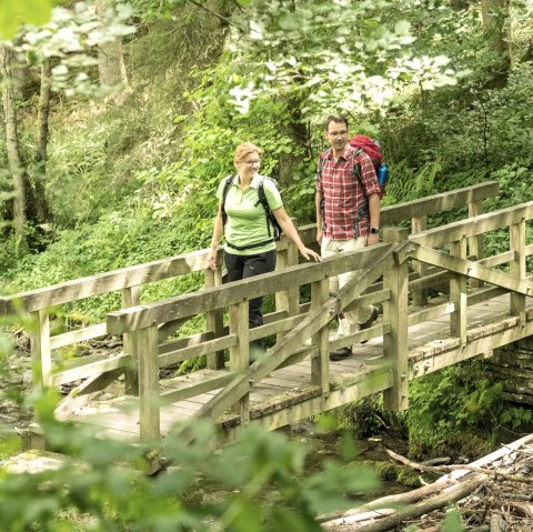 Wandern im Nationalpark Eifel, © Nationalpark Eifel/Dominik Ketz