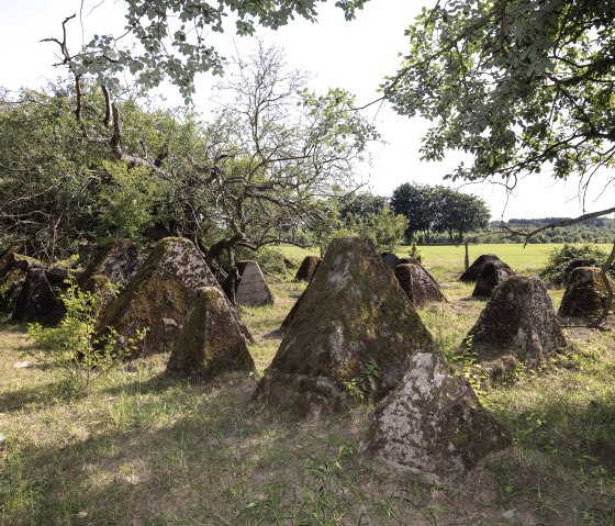 Westwall, © Eifel Tourismus GmbH, T. Vollmer